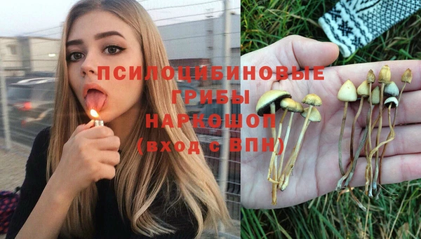 spice Абдулино