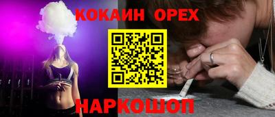 спайс Кингисепп