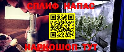 спайс Кингисепп