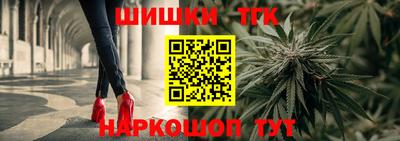 спайс Кингисепп