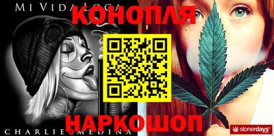 спайс Кингисепп