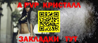 спайс Кингисепп