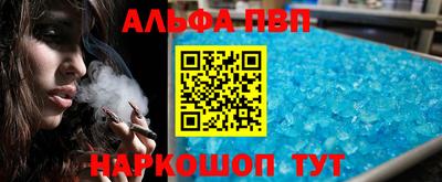 спайс Кингисепп