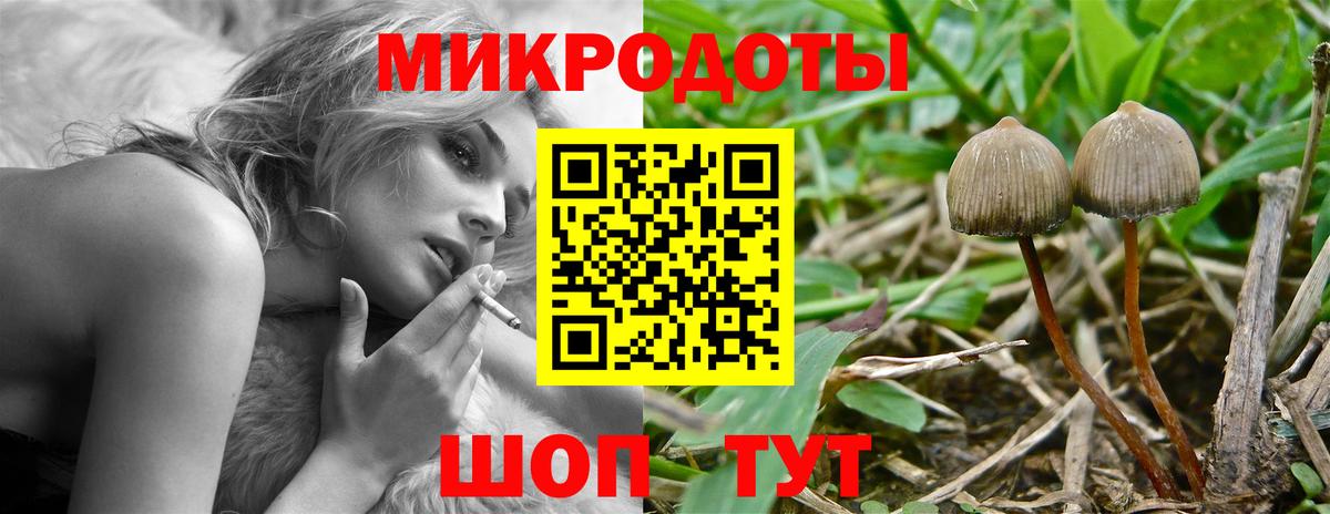 Кумертау  Галлюциногенные грибы Psilocybe  даркнет сайт  Вход с VPN 